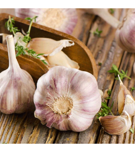 Natural Garlic Plus Ultra Flavour Oilsoluble